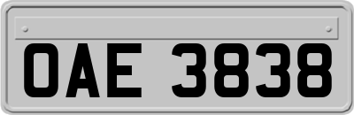OAE3838
