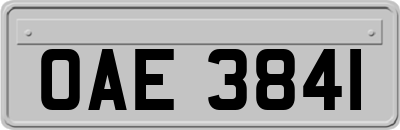 OAE3841