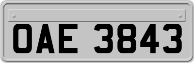 OAE3843
