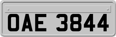 OAE3844