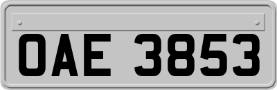 OAE3853