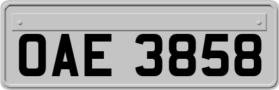 OAE3858