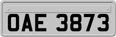 OAE3873