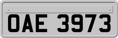 OAE3973