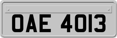 OAE4013