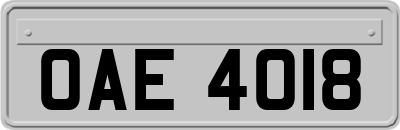 OAE4018