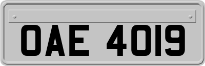 OAE4019