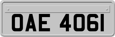 OAE4061