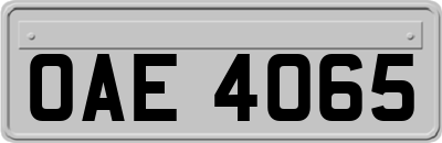 OAE4065