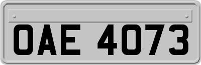 OAE4073