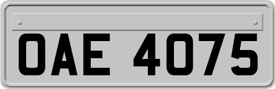 OAE4075