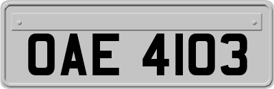 OAE4103