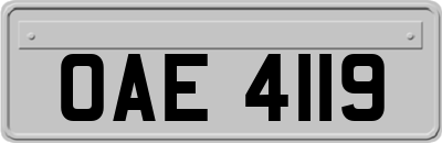 OAE4119