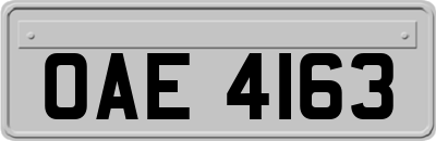 OAE4163