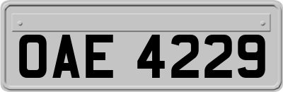 OAE4229