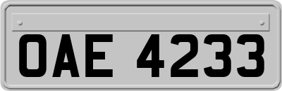 OAE4233