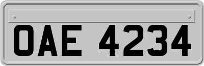 OAE4234
