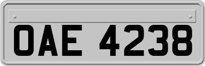OAE4238