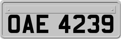 OAE4239