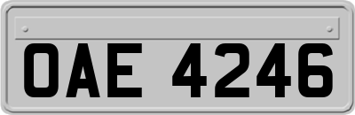 OAE4246