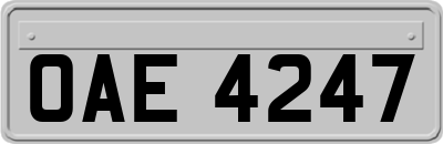 OAE4247
