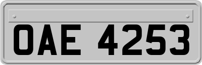 OAE4253