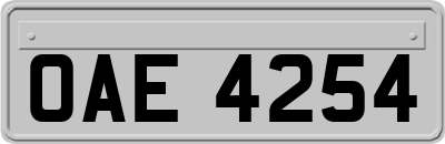 OAE4254