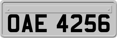 OAE4256