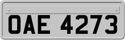 OAE4273