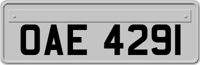 OAE4291