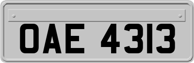 OAE4313