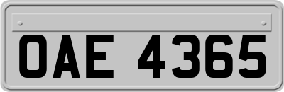 OAE4365