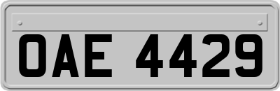 OAE4429