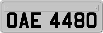 OAE4480
