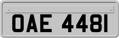 OAE4481