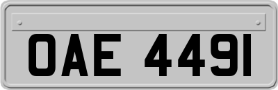 OAE4491