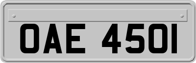 OAE4501