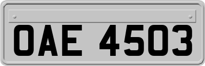OAE4503