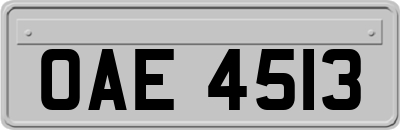 OAE4513
