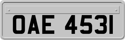 OAE4531
