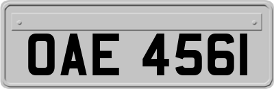 OAE4561