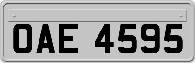 OAE4595