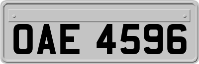 OAE4596