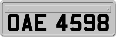 OAE4598