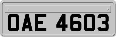 OAE4603