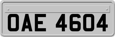 OAE4604