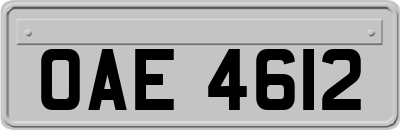 OAE4612