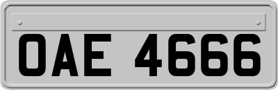 OAE4666