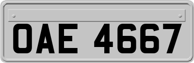 OAE4667