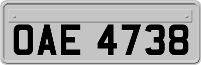 OAE4738